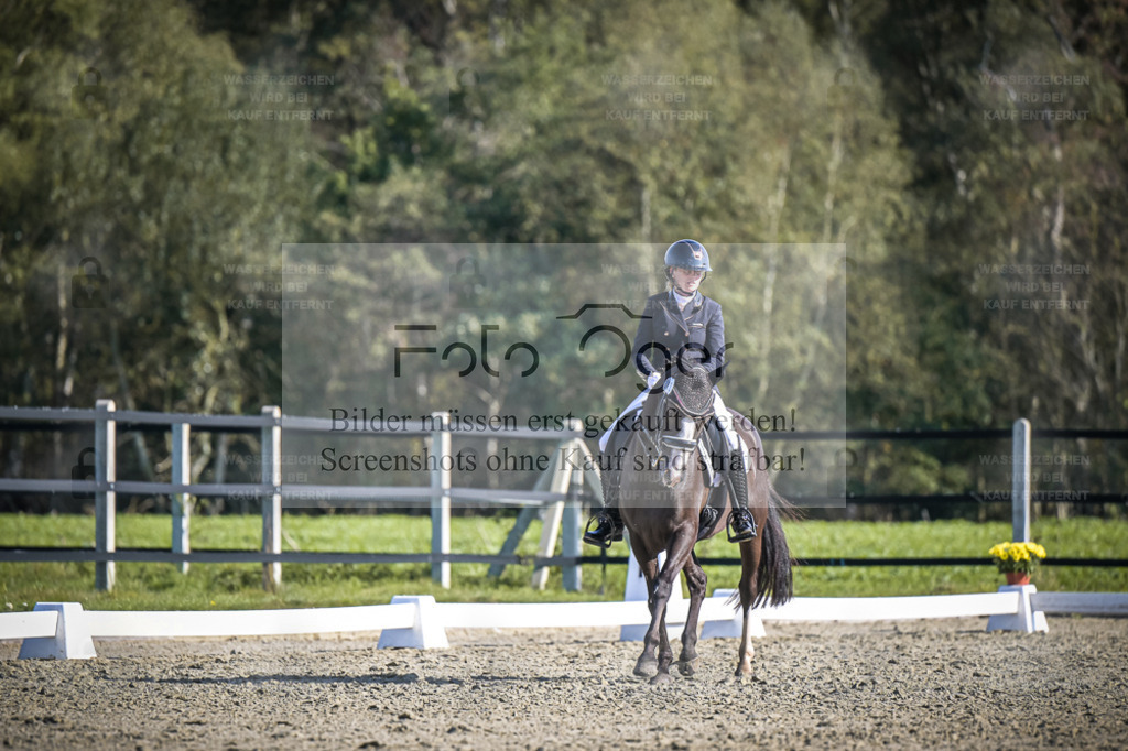 DOS_3173 | Entdecke hochwertige Reitturnierfotos von Foto Oger. Professionell, emotional und authentisch – jetzt Lieblingsmomente im Shop bestellen. - Realisiert mit Pictrs.com