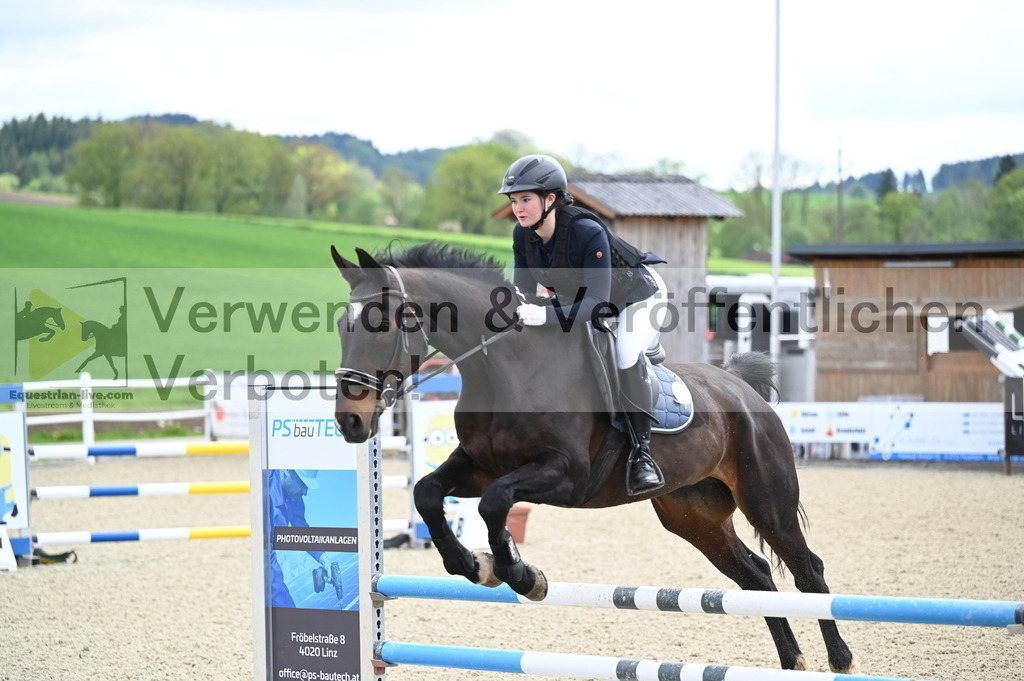 DSC_0632 | equestrian-live-com