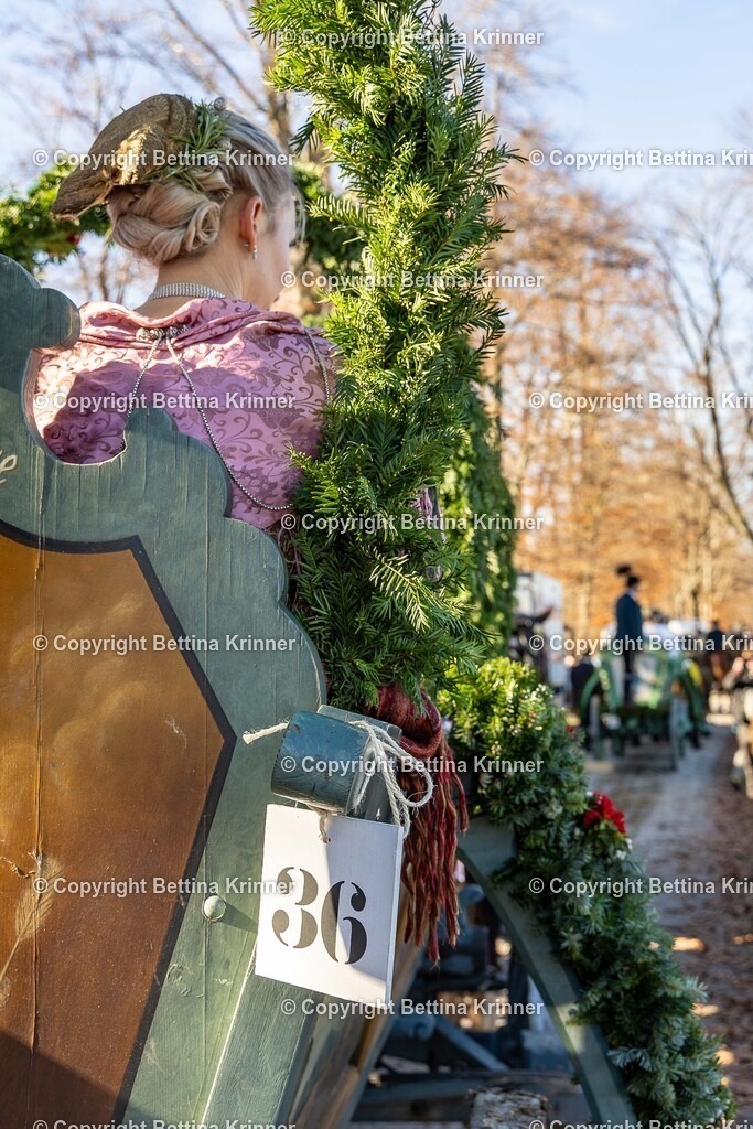 LBT25-1157 | foto-bettina-krinner - Realisiert mit Pictrs.com