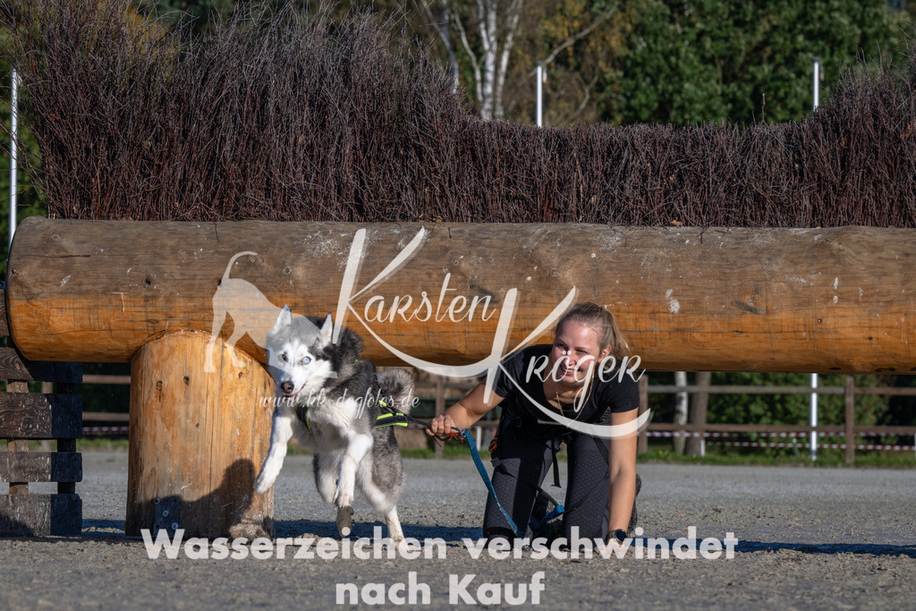1022-_ZZ91024 | kk-dogfotos