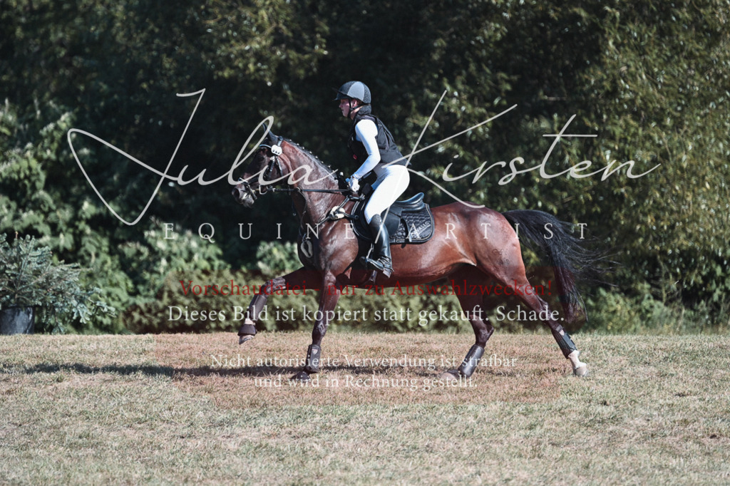 DSC_8788 | Pferde- und Turnierfotografie in Westsachsen. Pferdeportraits, Auftragszeichnungen und intuitive Kunst.