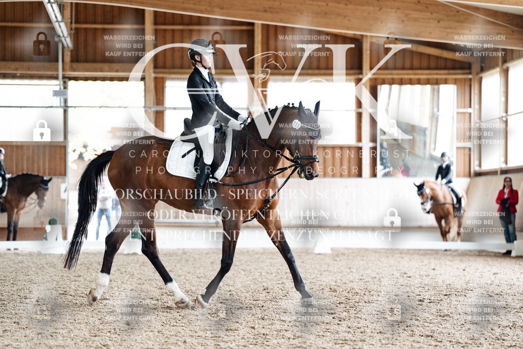 CK900708 | Turnierfotografie Pferdefotografie Trier Rheinland-Pfalz Pferdesport Reitsport Tierfotografie Sportfotografie Pferdevideo Pferdevideografie Equestrianvideography equestrianphotography  - Realisiert mit Pictrs.com