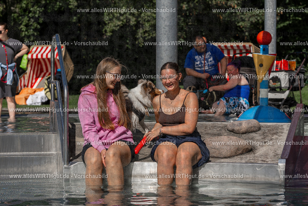 Hundeschwimmen_Volksbad_2026-allesWIRTHgut_Tierfotografie-2609061403-FAY06873 | Professionelle Tierfotografie in Mönchengladbach von Daniel Wirth (allesWIRTHgut). Liebevolle & natürliche Bilder von Hunden & Katzen für unvergessliche Erinnerungen.
