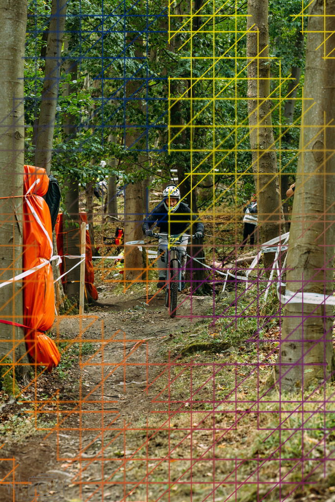 PAE-0343 | Einzigartige Fotokunst für dein Zuhause: Entdecke hochwertige Wandbilder, edle Prints und emotionale Motive von Wildlife, Natur und Landschaften - Realisiert mit Pictrs.com