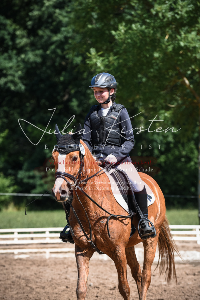 DSC_3250 | Pferde- und Turnierfotografie in Westsachsen. Pferdeportraits, Auftragszeichnungen und intuitive Kunst.
