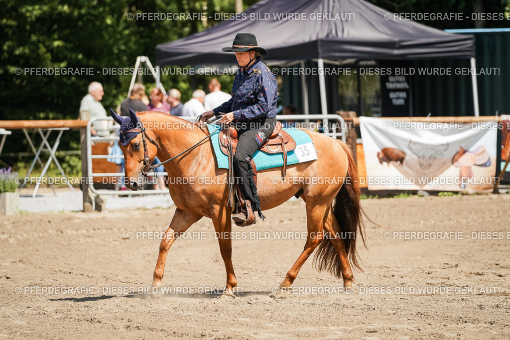 DSC06799 | Pferdegrafie