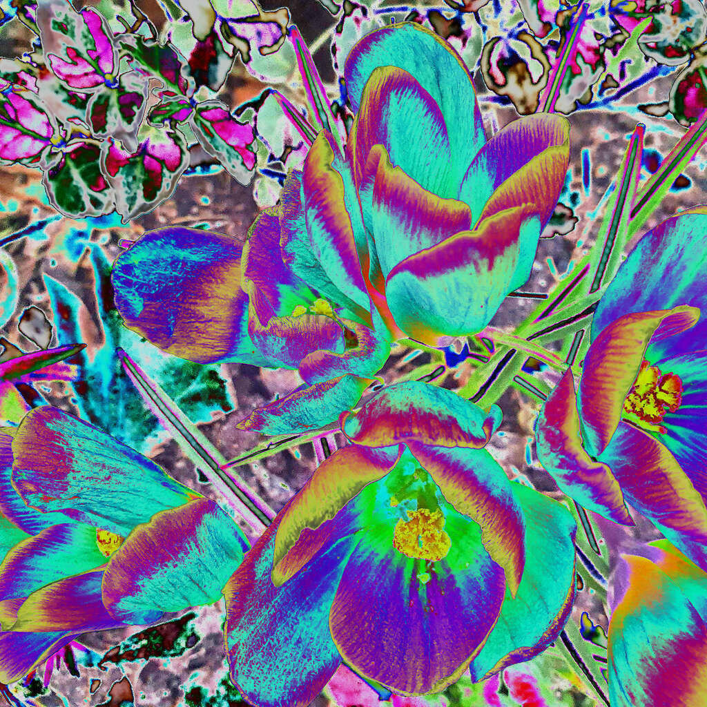 Floro 9 | Moderne Digital Art – Exklusive Kunstwerke für dein Zuhause
Entdecke einzigartige Digital Art und verleihe deinen Räumen eine moderne und stilvolle Atmosphäre. Unsere hochwertigen Kunstdrucke kombinieren innovative Technik mit künstlerischer Kreativität und bringen abstrakte, geometrische und futuristische Designs direkt an deine Wand.
✔ Hochauflösende Drucke in brillanten Farben
✔ Exklusive Motive von talentierten Digital Artists
✔ Verschiedene Formate für jeden Raum und Stil
✔ Perfekt als Wandkunst für Wohnzimmer, Büro oder Galerie
Lass dich von unserer modernen, abstrakten und minimalistischen Kunst inspirieren und finde dein neues Lieblingsmotiv! Jetzt bestellen und dein Zuhause mit hochwertiger Digital Art verschönern.
 - Realisiert mit Pictrs.com