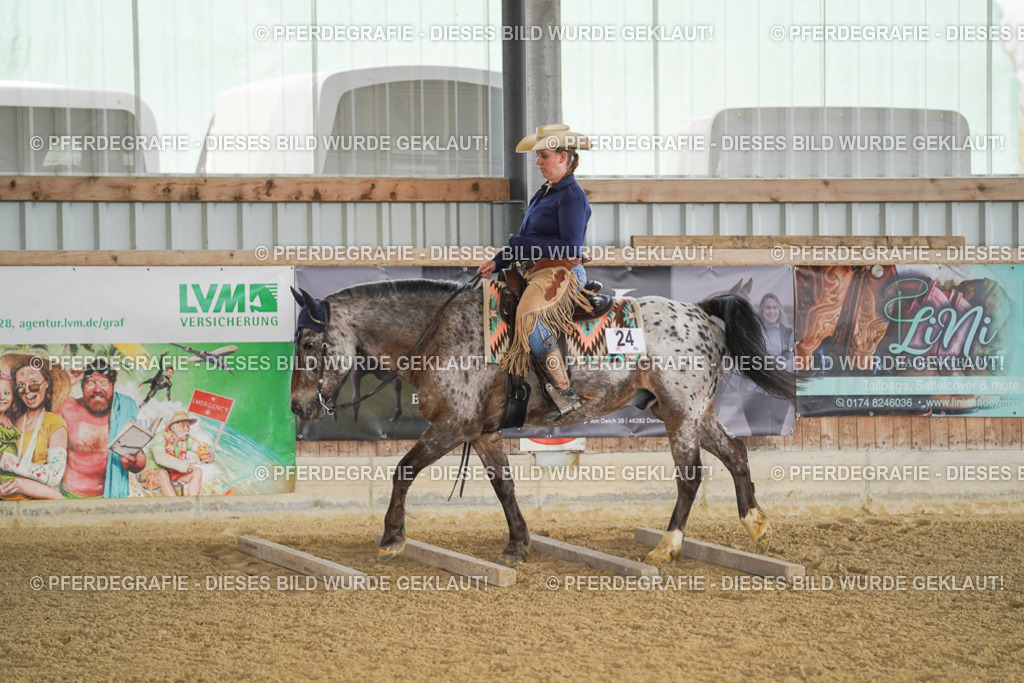 DSC02943 | Pferdegrafie