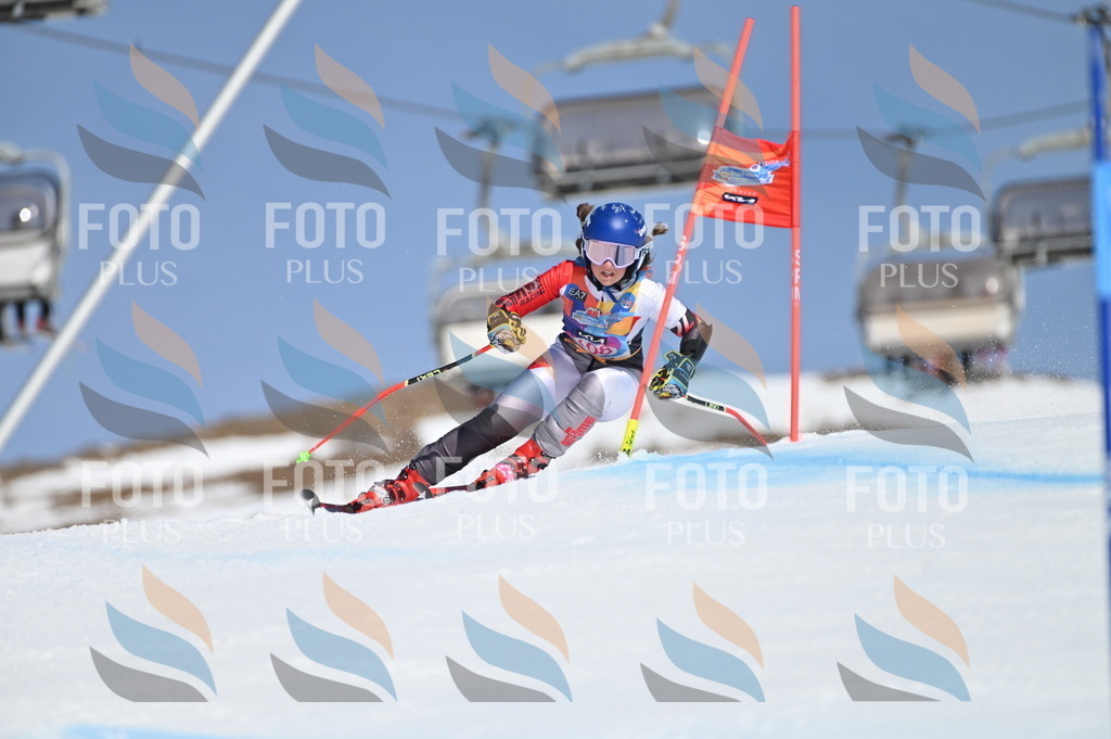 BGV_9591 | holidayphoto