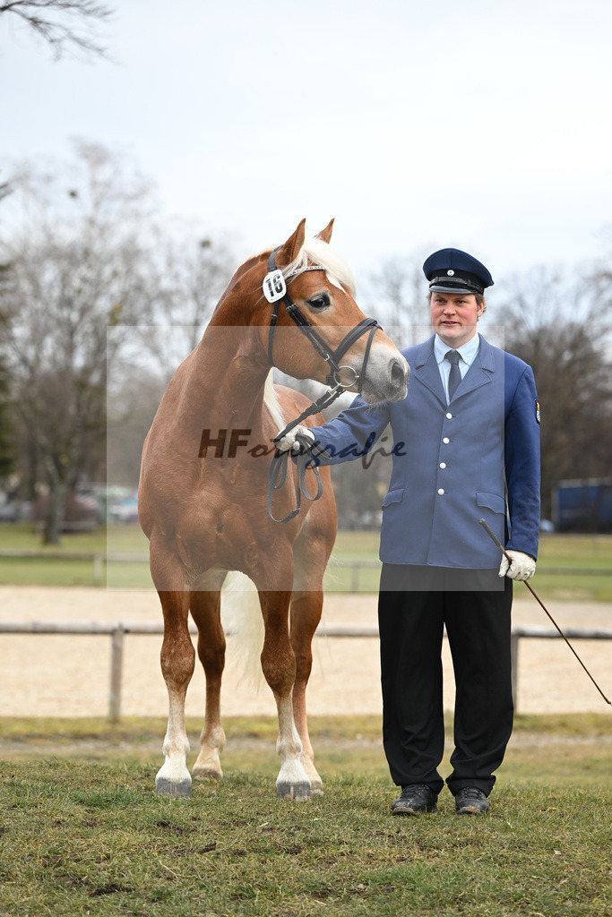Kat-Nr. 16 v. Sturmdrang_HLG Schwaiganger_2230400 | hf-fotografie - Realisiert mit Pictrs.com