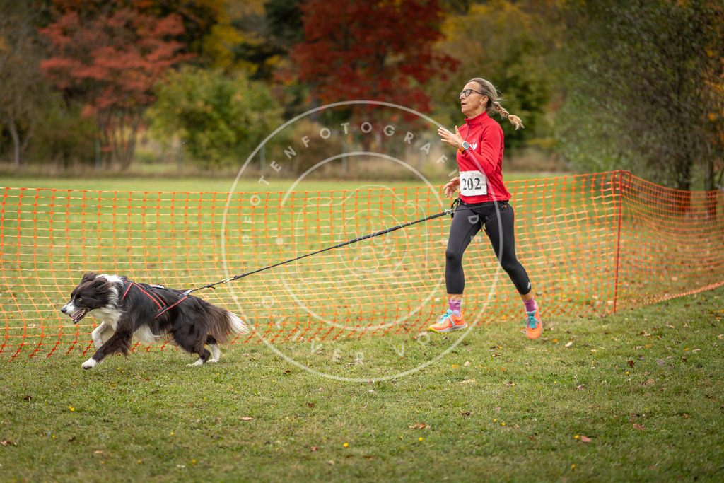 Pfotenfotografie_DV3A4150 | Hundefotografie, Tierfotograf, Pfotenfotografie, Fotoshooting Hund, Hunde Portrait, Hundesport, Hundeportraits, Heideshooting, Hunde, Sportfotograf, Hundefotograf, Turnierhundsport, THS,  - Realisiert mit Pictrs.com