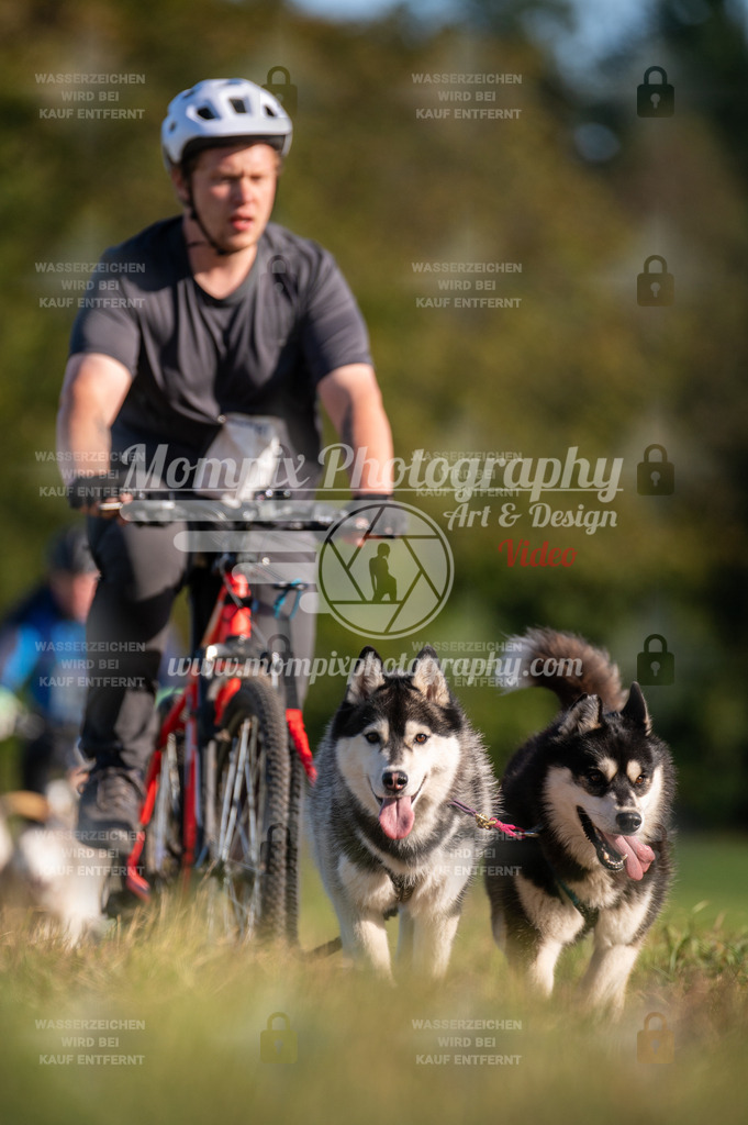 CDLBDB_15_10_2023_Dimanche-365 | PayLife