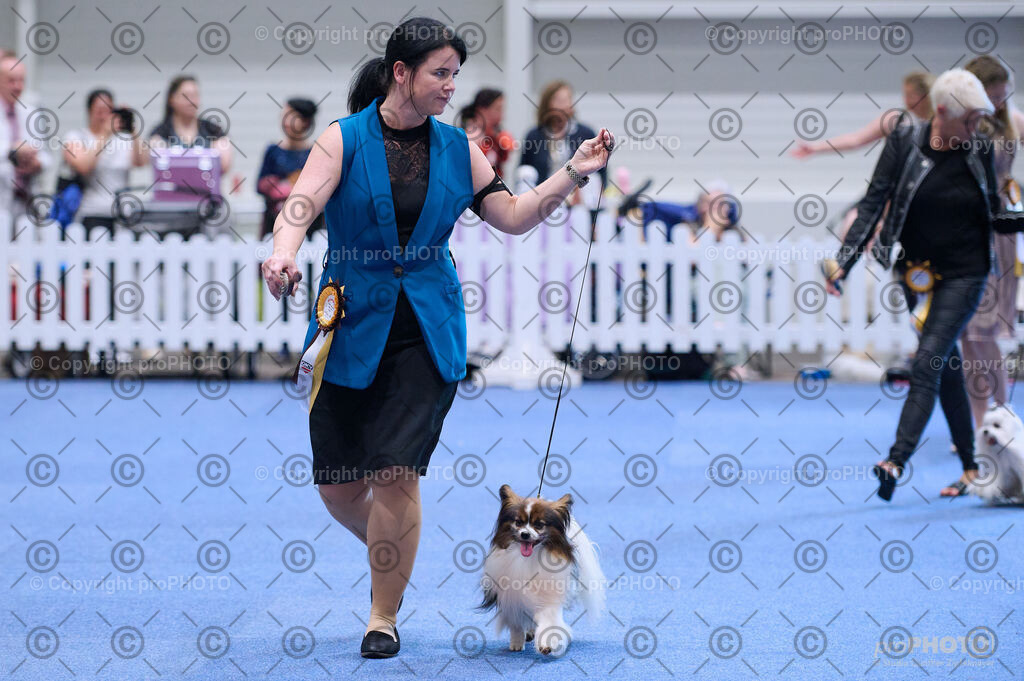 202406_ÖKV-IHA-Tulln24_DSC_3672 | proPHOTO - Realisiert mit Pictrs.com