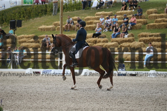 Birkhof_2022_GrandPrixSpecial_Nicole Casper_Birkhof_s Don Röschen FBW(16) | Alle Fotos der Reiterjournal Fotografin Doris Matthaes im Reiterjournal Online-Fotoshop. - Realisiert mit Pictrs.com
