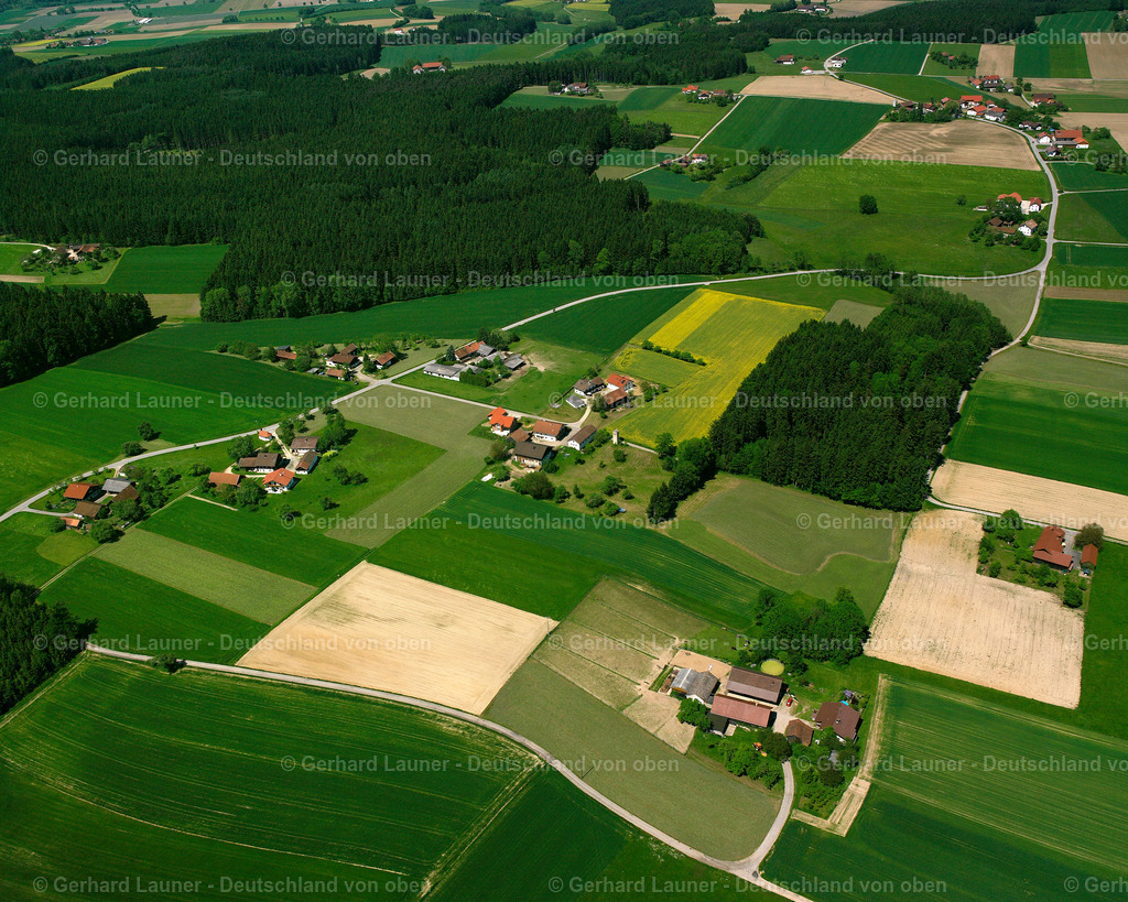 2517352 | Moserholz, Roßbach