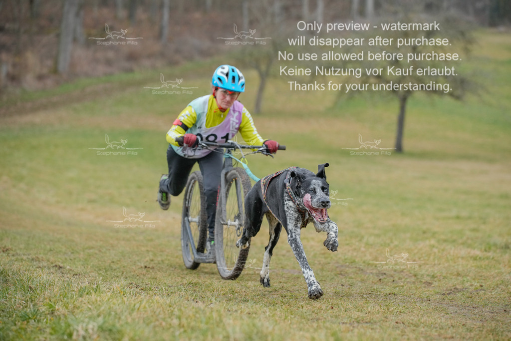 Sa_Scooter1-90-5 | stephaniefillaphotographie - Realisiert mit Pictrs.com