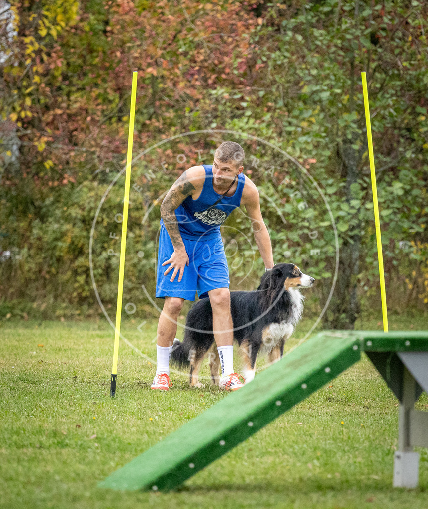 Pfotenfotografie_DV3A0852 | Hundefotografie, Tierfotograf, Pfotenfotografie, Fotoshooting Hund, Hunde Portrait, Hundesport, Hundeportraits, Heideshooting, Hunde, Sportfotograf, Hundefotograf, Turnierhundsport, THS,  - Realisiert mit Pictrs.com