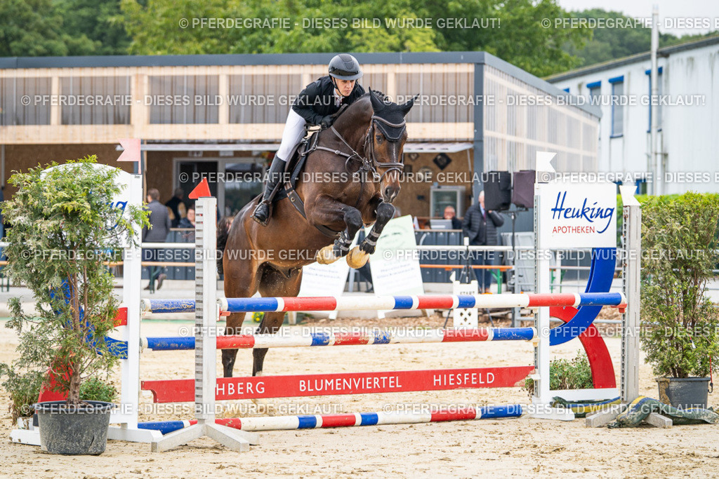 DSC09769 | Pferdegrafie