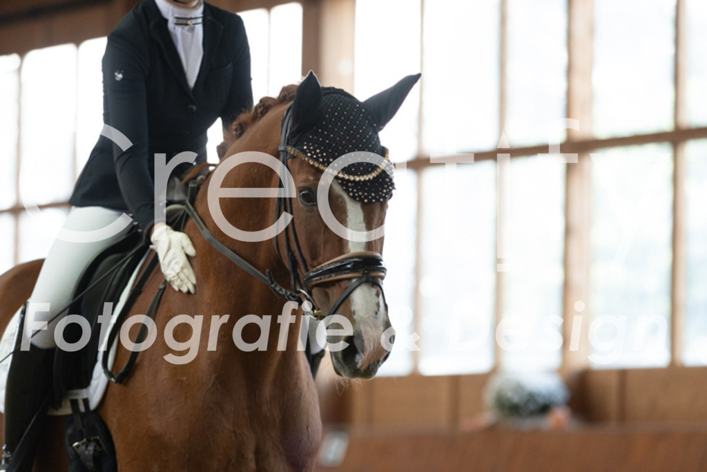 IMG_2188 | Creatify Fotografie