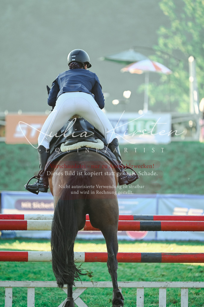 DSC_3975 | Pferde- und Turnierfotografie in Westsachsen. Pferdeportraits, Auftragszeichnungen und intuitive Kunst.