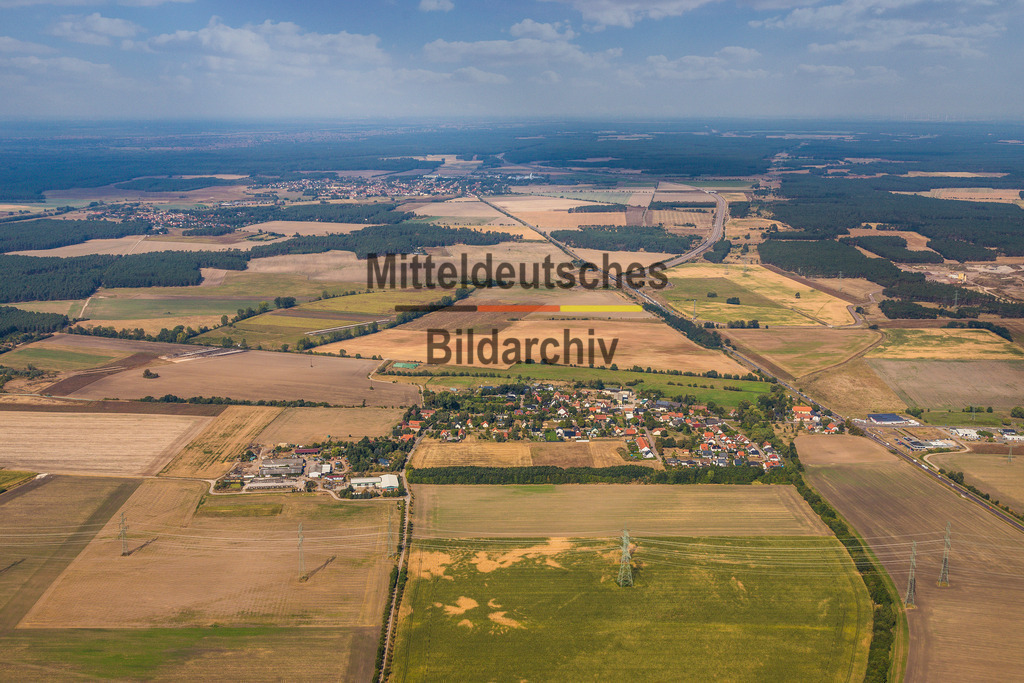 15_Mose-2544 | Mose - Realisiert mit Pictrs.com