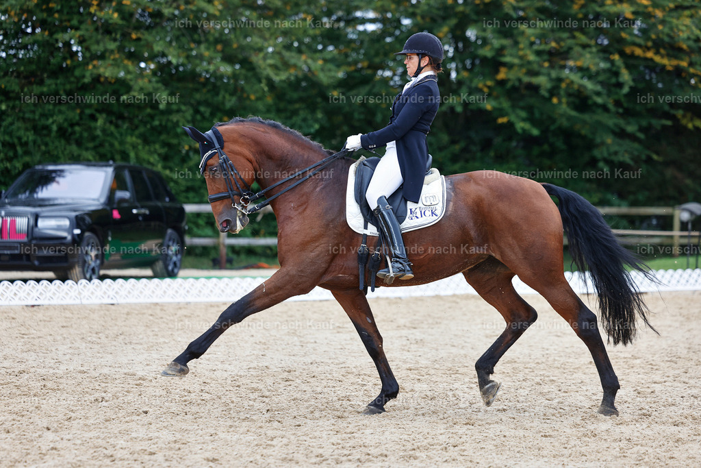 12-072-DRESSUR  S___  -StoibPH-5339 | working equitationturnier fotograf videograf stoibphotography marixx film working equitation deutschland reitsport turnierfotografie eventfotografie equestrian events