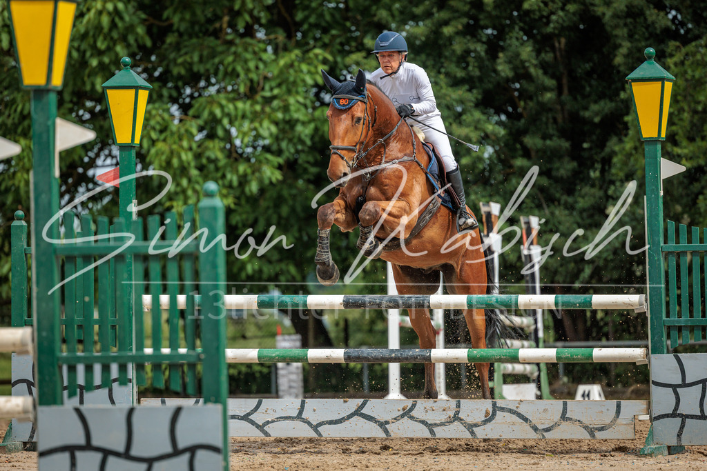 20260530-_3LI2945 | Tierfotografie Pferde, Hunde, Katzen, Haustiere.
Turnierfotografie Reitturniere, Reiten, Springreiten, Dressur in Hanau, dem Main-Kinzig-Kreis und dem Rhein-Main- Gebiet um Frankfurt