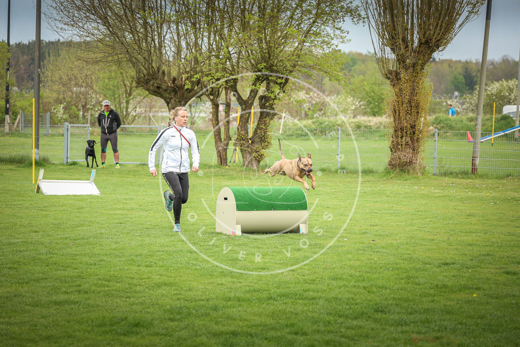 Pfotenfotografie_0L8A9482 | Hundefotografie, Tierfotograf, Pfotenfotografie, Fotoshooting Hund, Hunde Portrait, Hundesport, Hundeportraits, Heideshooting, Hunde, Sportfotograf, Hundefotograf, Turnierhundsport, THS,  - Realisiert mit Pictrs.com