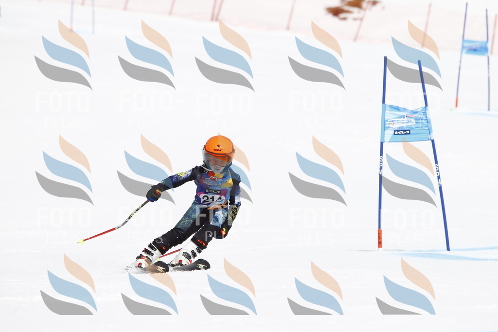 _U3G5518 | holidayphoto