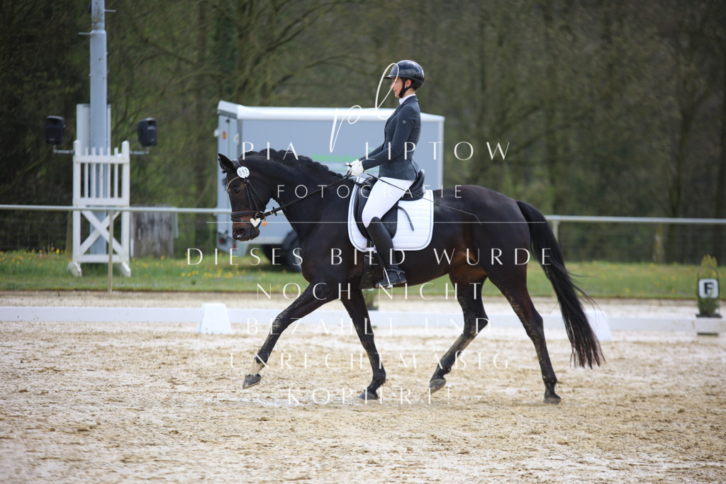 IMGT2974 | pl-fotografie