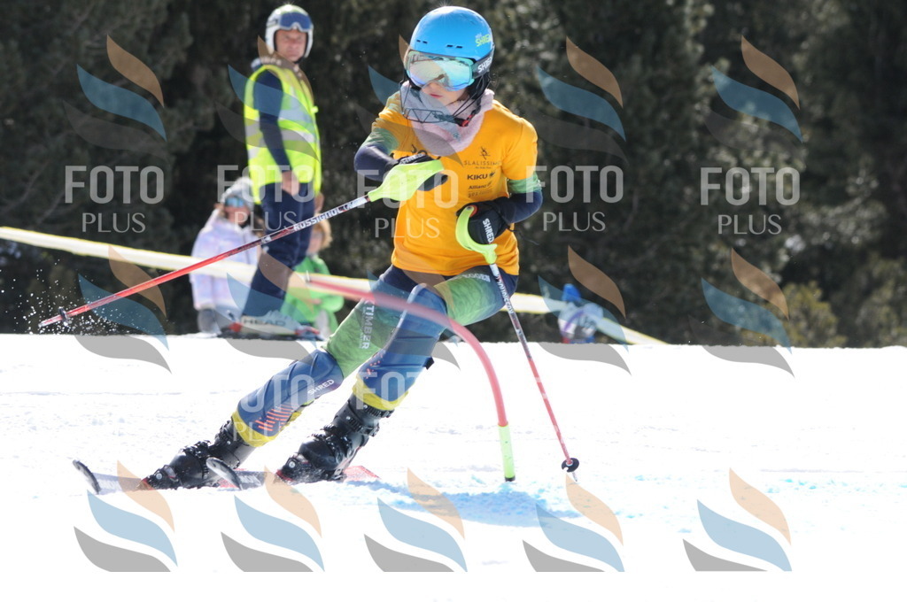 C9164 | holidayphoto