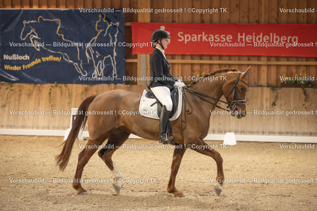 _D5A3599 | Emotionale Pferde- & People-Fotografie rund um Heidelberg, Leimen & Umgebung. Natürliche Fotos von Pferd, Mensch & Familie. Jetzt Termin sichern!