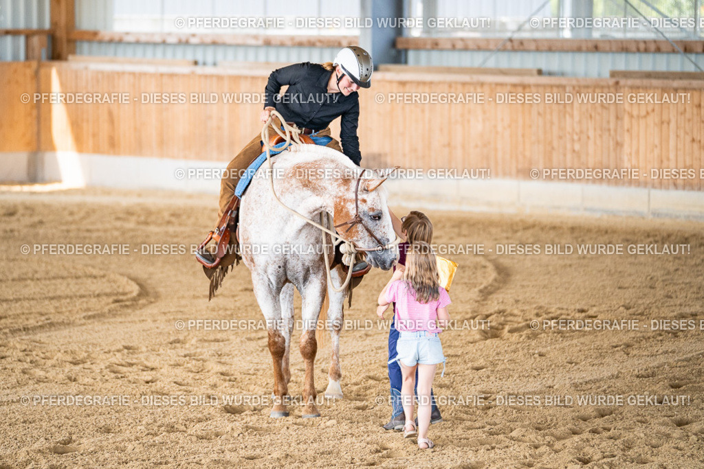 DSC02896 | Pferdegrafie