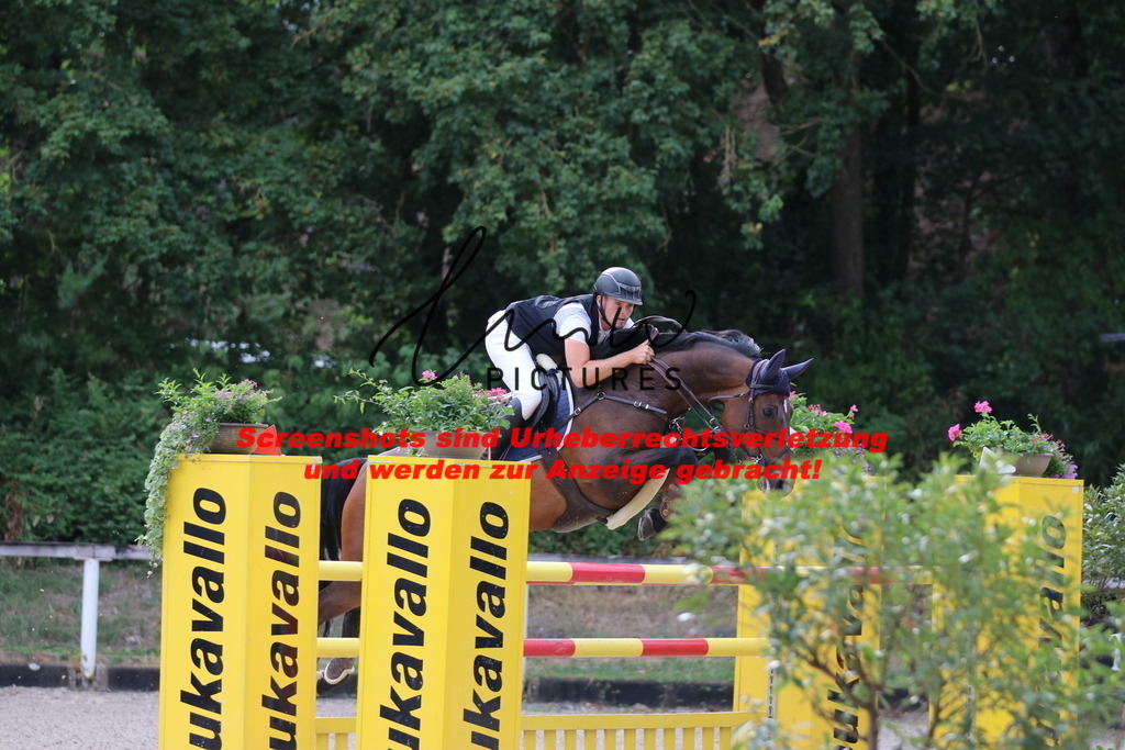 IMG_0858 | lmwpictures - Realisiert mit Pictrs.com