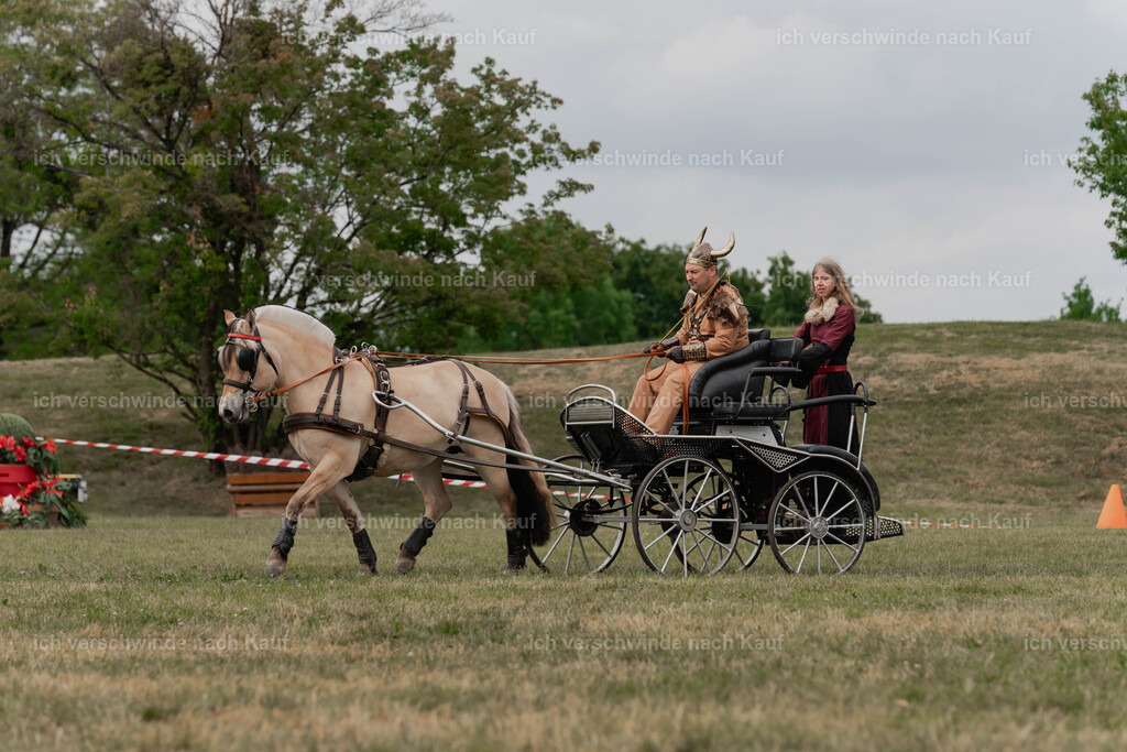 Showprogramm-337 | working equitationturnier fotograf videograf stoibphotography marixx film working equitation deutschland reitsport turnierfotografie eventfotografie equestrian events