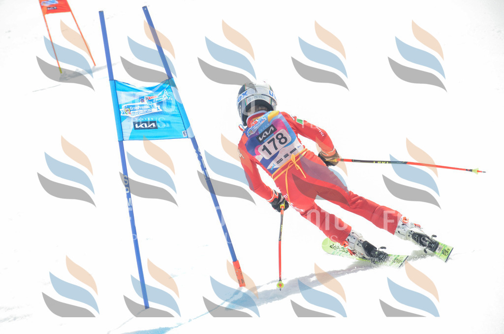 _ELE6646 | holidayphoto