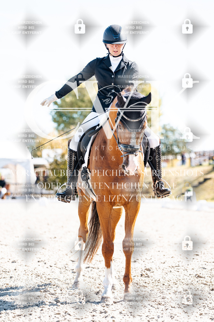 CK909205 | Turnierfotografie Pferdefotografie Trier Rheinland-Pfalz Pferdesport Reitsport Tierfotografie Sportfotografie Pferdevideo Pferdevideografie Equestrianvideography equestrianphotography  - Realisiert mit Pictrs.com