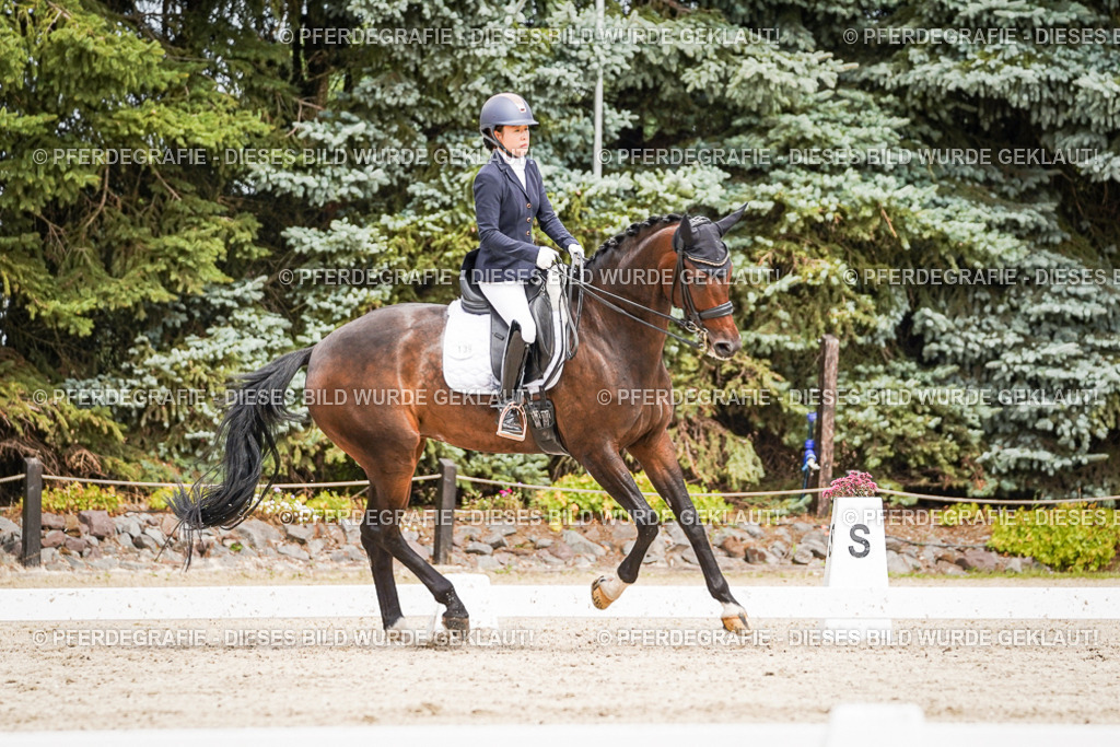 DSC05596 | Pferdegrafie