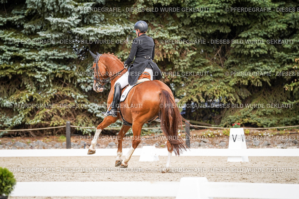 DSC06524 | Pferdegrafie