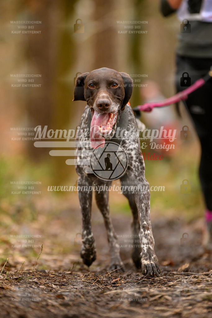 MompixPhotography_CDSM24_SA_Fun-28 | PayLife