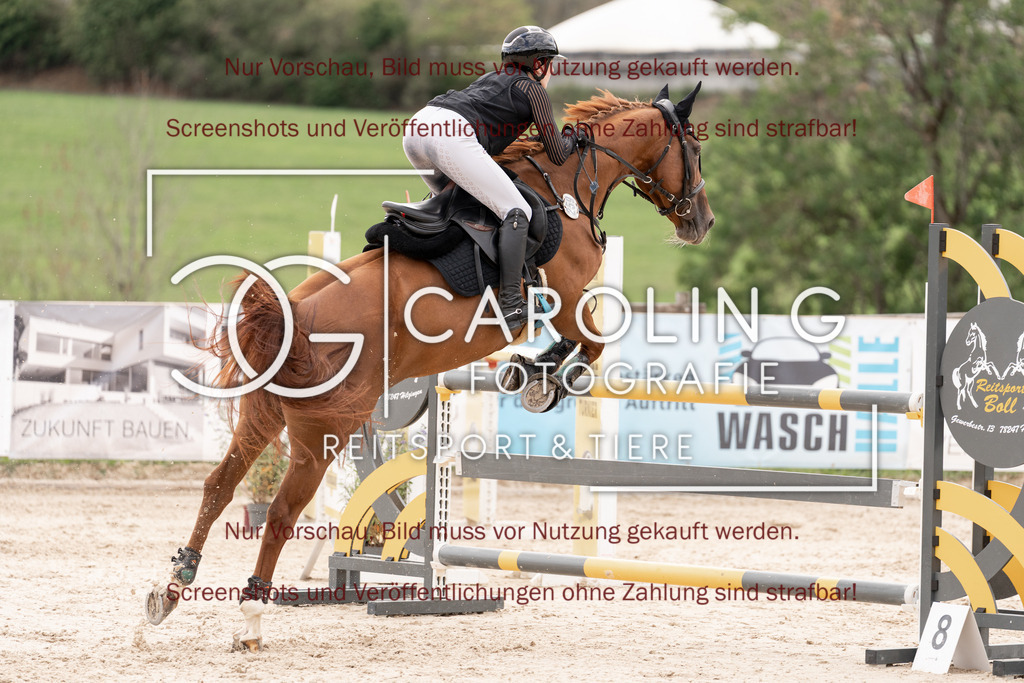 DSC06754 | Springturnier_Teamchallege_Talheim_2026, Lara-Sophie_Strom, Nectarine_V.D.Wart
