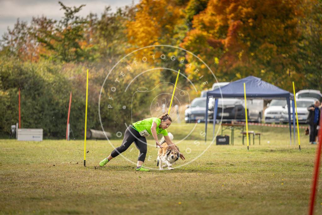 Pfotenfotografie_DV3A7167 | Hundefotografie, Tierfotograf, Pfotenfotografie, Fotoshooting Hund, Hunde Portrait, Hundesport, Hundeportraits, Heideshooting, Hunde, Sportfotograf, Hundefotograf, Turnierhundsport, THS,  - Realisiert mit Pictrs.com
