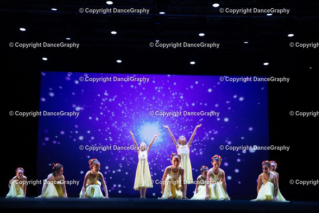 GPHY4735 | DanceGraphy - Realisiert mit Pictrs.com