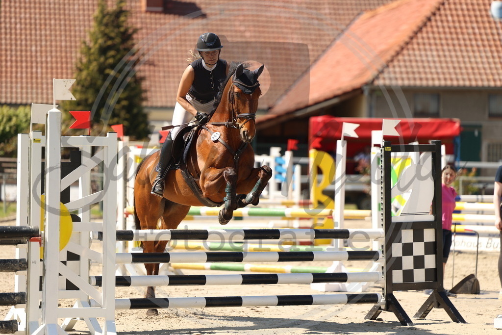 994A5802 | sabrinanicolaifotografie - Realisiert mit Pictrs.com