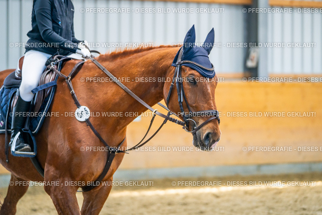 DSC01331 | Pferdegrafie