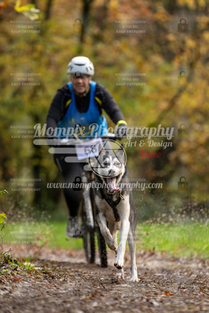 MompixPhotography_Bischwiller23_Bike-58 | PayLife