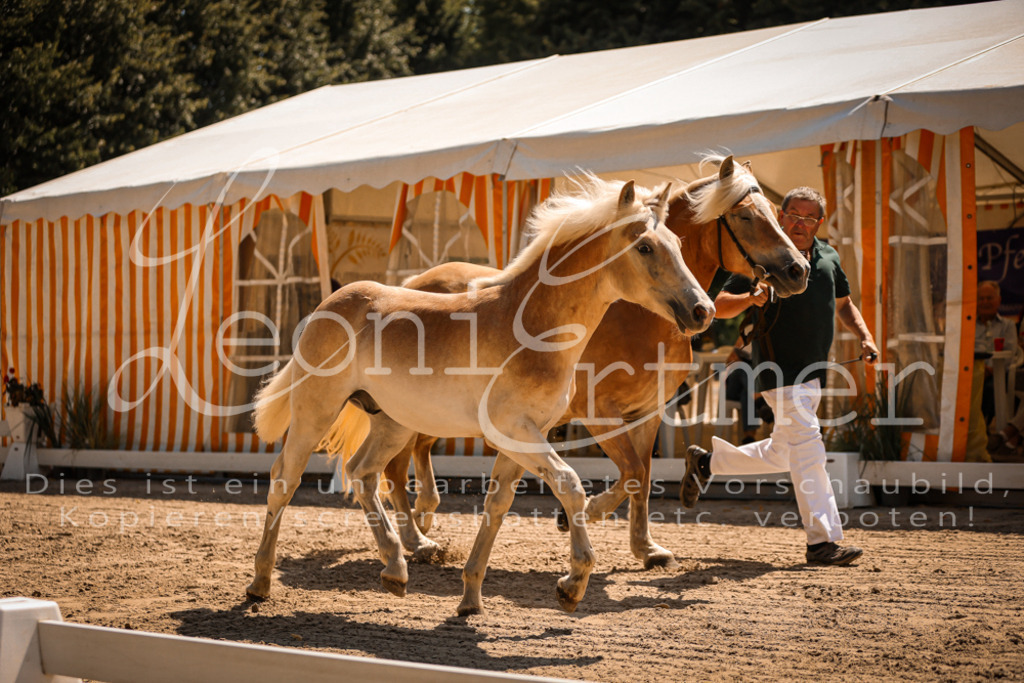 06.DoH00009 | Leoni Ertmer Photography - Realisiert mit Pictrs.com