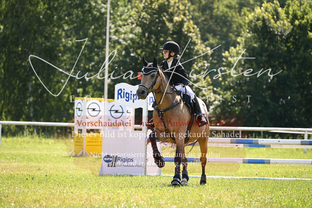 DSC_8807 | Pferde- und Turnierfotografie in Westsachsen. Pferdeportraits, Auftragszeichnungen und intuitive Kunst.