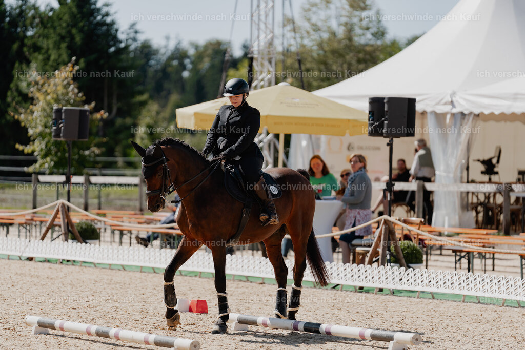 Lara_21_FHC2025-30 | working equitationturnier fotograf videograf stoibphotography marixx film working equitation deutschland reitsport turnierfotografie eventfotografie equestrian events
