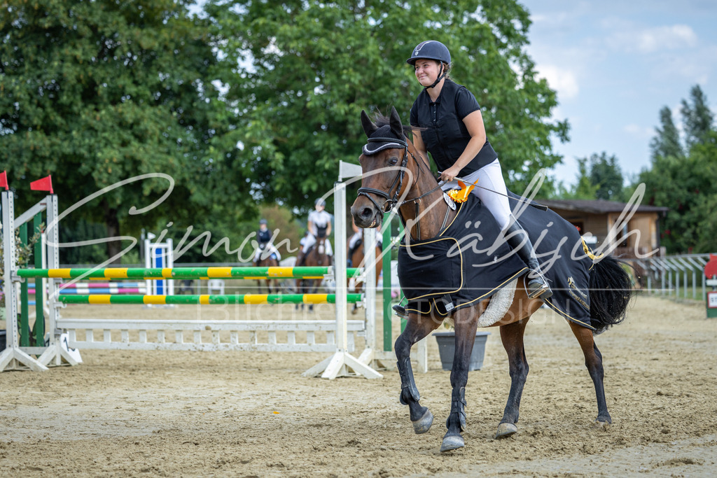 20260704-_3LI1963 | Tierfotografie Pferde, Hunde, Katzen, Haustiere.
Turnierfotografie Reitturniere, Reiten, Springreiten, Dressur in Hanau, dem Main-Kinzig-Kreis und dem Rhein-Main- Gebiet um Frankfurt